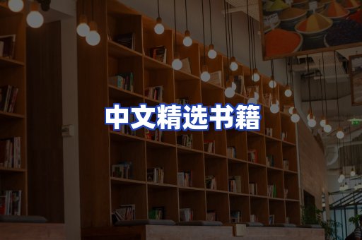 中文精选书籍